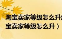 淘宝卖家等级怎么升级（2024年05月26日淘宝卖家等级怎么升）