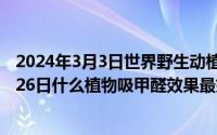 2024年3月3日世界野生动植物日宣传的主题（2024年05月26日什么植物吸甲醛效果最好）