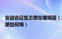 安徽省征集志愿在哪填报（2024年05月26日安徽省征集志愿如何填）