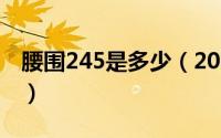 腰围245是多少（2024年05月27日腰围尺码）