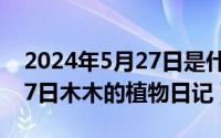 2024年5月27日是什么日子（2024年05月27日木木的植物日记）