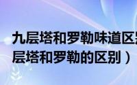 九层塔和罗勒味道区别（2024年05月27日九层塔和罗勒的区别）