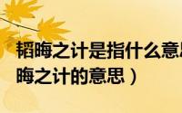 韬晦之计是指什么意思（2024年05月28日韬晦之计的意思）