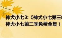 神犬小七3:《神犬小七第三季》电视剧（2024年05月28日神犬小七第三季免费全集）