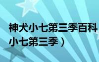 神犬小七第三季百科（2024年05月28日神犬小七第三季）