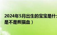 2024年5月出生的宝宝是什么命（2024年05月29日ab血型是不是熊猫血）