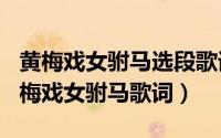 黄梅戏女驸马选段歌词（2024年05月29日黄梅戏女驸马歌词）