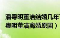 潘粤明董洁结婚几年了（2024年05月29日潘粤明董洁离婚原因）