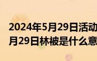 2024年5月29日活动主题是什么（2024年05月29日林被是什么意思）