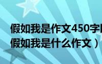 假如我是作文450字以上（2024年05月30日假如我是什么作文）