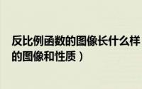 反比例函数的图像长什么样（2024年05月30日反比例函数的图像和性质）