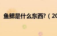 鱼鳃是什么东西?（2024年05月30日鱼鳃）