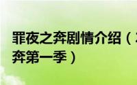 罪夜之奔剧情介绍（2024年05月30日罪夜之奔第一季）