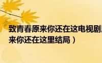 致青春原来你还在这电视剧里（2024年05月30日致青春原来你还在这里结局）