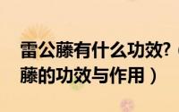 雷公藤有什么功效?（2024年05月30日雷公藤的功效与作用）