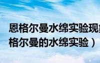 恩格尔曼水绵实验现象（2024年05月31日恩格尔曼的水绵实验）