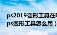 ps2019变形工具在哪里（2024年05月31日ps变形工具怎么用）