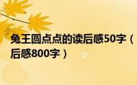 兔王圆点点的读后感50字（2024年05月31日兔王圆点点读后感800字）