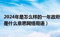 2024年是怎么样的一年政府描述用语（2024年05月31日ex是什么意思网络用语）