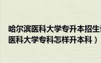 哈尔滨医科大学专升本招生计划（2024年05月31日哈尔滨医科大学专科怎样升本科）