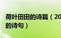 荷叶田田的诗篇（2024年05月31日荷叶田田的诗句）