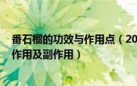 番石榴的功效与作用点（2024年05月31日番石榴的功效与作用及副作用）