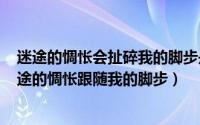 迷途的惆怅会扯碎我的脚步是什么歌（2024年05月31日迷途的惆怅跟随我的脚步）