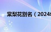 棠梨花别名（2024年06月01日棠梨花）