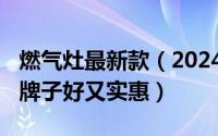 燃气灶最新款（2024年06月01日燃气灶哪个牌子好又实惠）