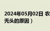 2024年05月02日 农历是（2024年06月02日秃头的原因）