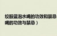 绞股蓝泡水喝的功效和禁忌（2024年06月03日绞股蓝泡水喝的功效与禁忌）