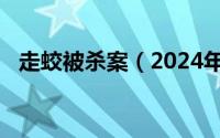 走蛟被杀案（2024年06月03日走蛟讨封）