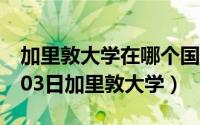 加里敦大学在哪个国家多少分（2024年06月03日加里敦大学）