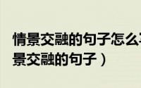 情景交融的句子怎么写（2024年06月03日情景交融的句子）