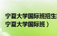 宁夏大学国际班招生简章（2024年06月03日宁夏大学国际班）