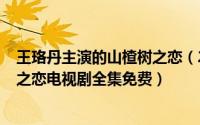 王珞丹主演的山楂树之恋（2024年06月03日王络丹山楂树之恋电视剧全集免费）