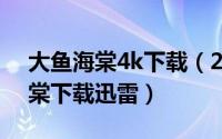 大鱼海棠4k下载（2024年06月04日大鱼海棠下载迅雷）