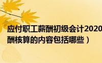 应付职工薪酬初级会计2020（2024年06月04日应付职工薪酬核算的内容包括哪些）