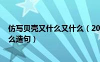 仿写贝壳又什么又什么（2024年06月04日贝壳又什么又什么造句）