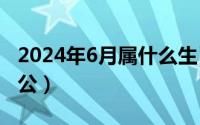 2024年6月属什么生肖（2024年06月04日相公）