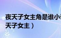 夜天子女主角是谁小说（2024年06月04日夜天子女主）