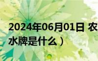 2024年06月01日 农历是（2024年06月05日水牌是什么）