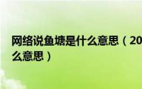 网络说鱼塘是什么意思（2024年06月05日网络用语鱼塘什么意思）