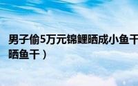 男子偷5万元锦鲤晒成小鱼干（2024年06月05日老翁偷锦鲤晒鱼干）