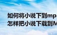 如何将小说下到mp3上（2024年06月05日怎样把小说下载到MP3上）