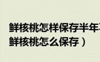 鲜核桃怎样保存半年不干（2024年06月05日鲜核桃怎么保存）