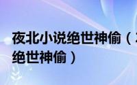 夜北小说绝世神偷（2024年06月05日夜北的绝世神偷）