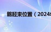 髂胫束位置（2024年06月05日髂胫束）