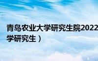 青岛农业大学研究生院2022（2024年06月06日青岛农业大学研究生）