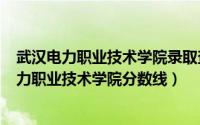 武汉电力职业技术学院录取查询（2024年06月06日武汉电力职业技术学院分数线）